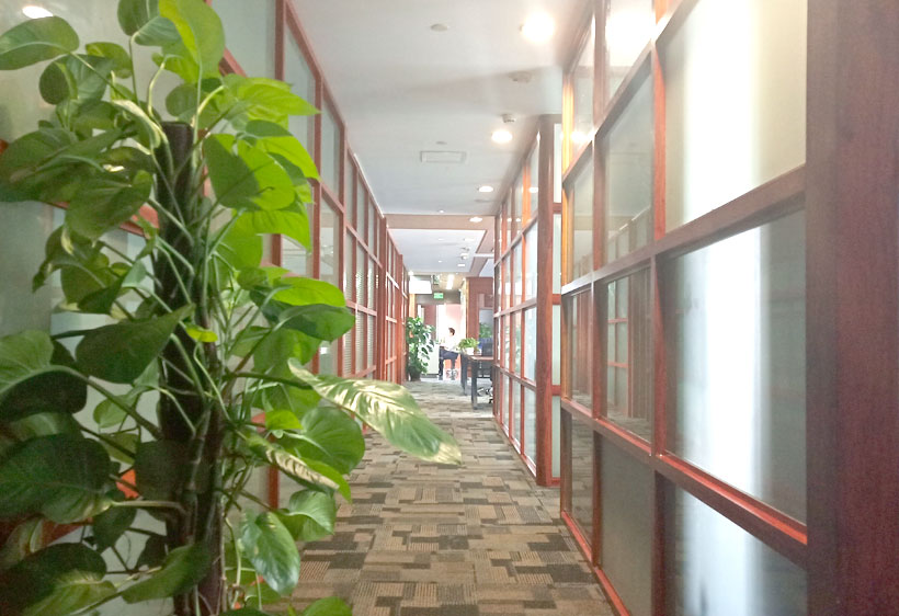 律所客戶送旌旗